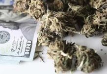 Majority Leader Chuck Schumer Makes a Stand for More Comprehensive Cannabis Banking & an End to Prohibition cannabis banking