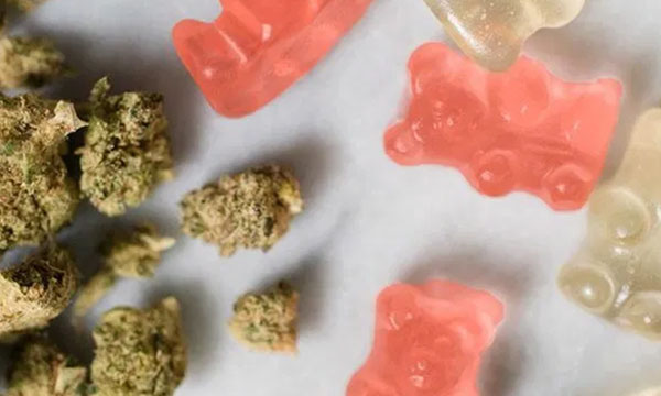 edibles-gummy