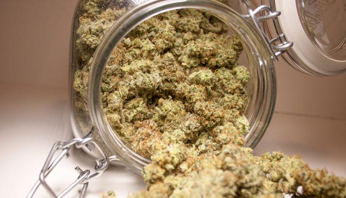 Curing Buds for a Better Taste in mason jars