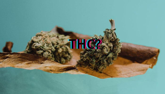 How Much THC Is in a Blunt