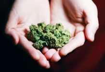 Is Weed Legal in Phuket, Thailand?