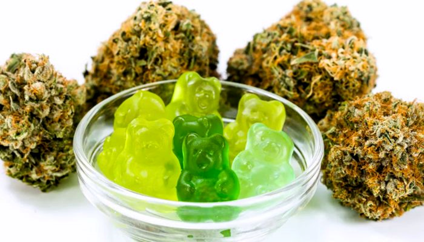 gummy bears with marijuana buds 