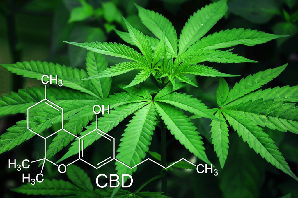 marijuana leaves with the scientific compound 