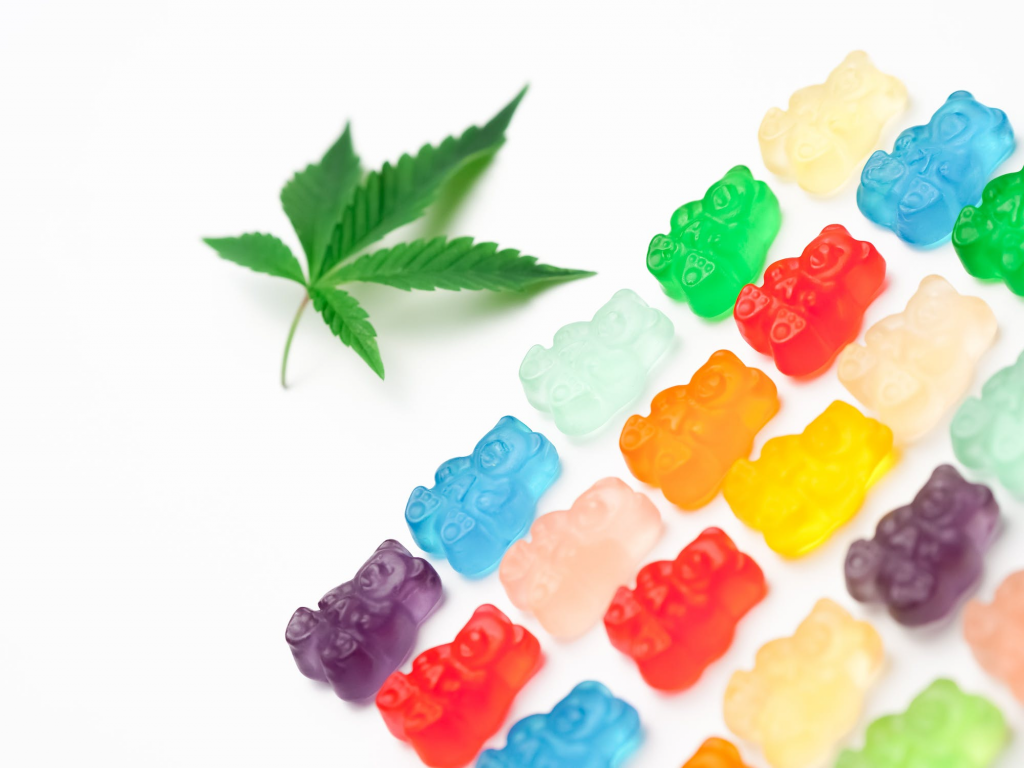 multi colour gummy bears marijuana edibles 