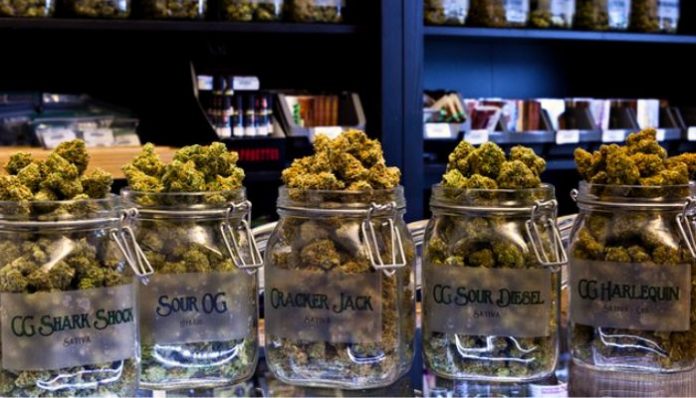 cannabis dispensary with jars of cannabis on the table